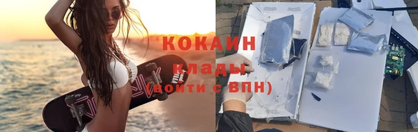 прущие грибы Белоозёрский