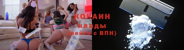 прущие грибы Белоозёрский