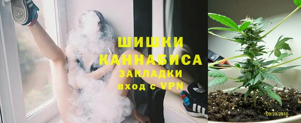 прущие грибы Белоозёрский
