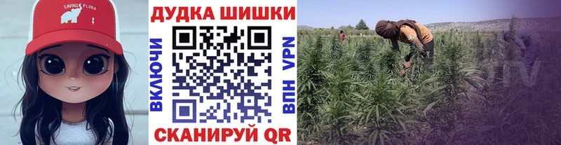 где найти наркотики  kraken рабочий сайт  Конопля White Widow  маркетплейс как зайти  Мглин 